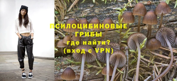 эйфоретик Бугульма