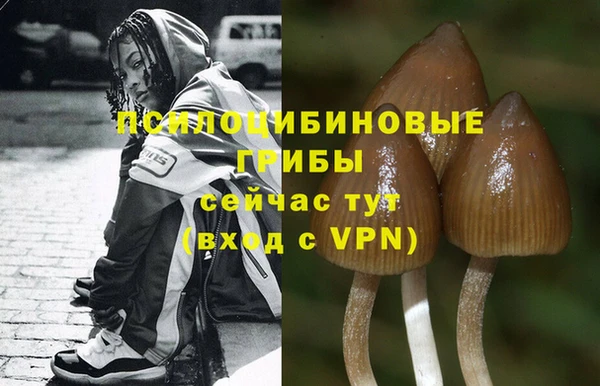эйфоретик Бугульма
