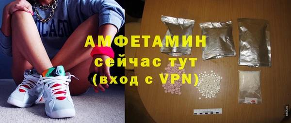 гашик Верея
