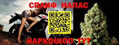 прущие грибы Ирбит