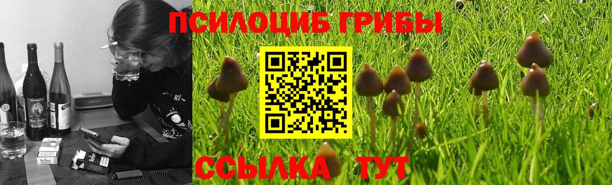 Псилоцибиновые грибы MAGIC MUSHROOMS  Вход с VPN  Медногорск 